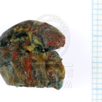 H1-65953_po  (1).JPG H1-65953_po  (1).JPG