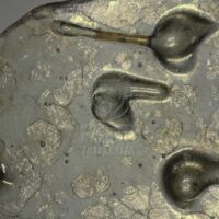 H2-198691 nálepy (1,2x).jpg H2-198691 nálepy (1,2x).jpg