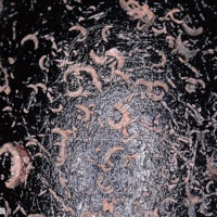 H1-80585_om (1).jpg H1-80585_om (1).jpg