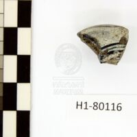 H1-80116 (4).JPG H1-80116 (4).JPG