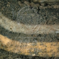 H1-64668_mikro.jpg H1-64668_mikro.jpg