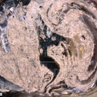 H1-80535_om (3).jpg H1-80535_om (3).jpg