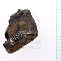 H1-65959_J_pred.JPG
