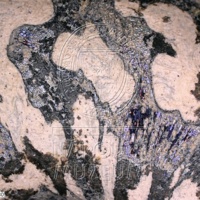 H1-80591_om (1).jpg H1-80591_om (1).jpg