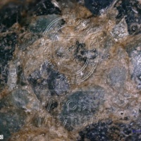 H1-15394_om (2).jpg