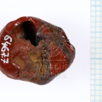 H1-64677_po (1).JPG H1-64677_po (1).JPG