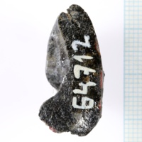 H1-64712_po  (4).JPG H1-64712_po  (4).JPG