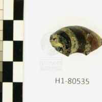 H1-80535 (3).JPG H1-80535 (3).JPG