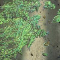 H2-105381 (3x) koroze.jpg H2-105381 (3x) koroze.jpg