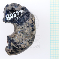 H1-80599 (2).JPG H1-80599 (2).JPG