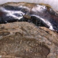 H1-80118_om (2).jpg H1-80118_om (2).jpg