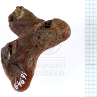 H1-64691_po (4).JPG H1-64691_po (4).JPG