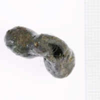 H1-64716_b_po (6).JPG H1-64716_b_po (6).JPG