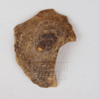 H2-105448 před restaurováním.jpg H2-105448 před restaurováním.jpg