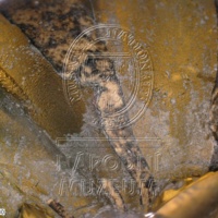 H1-80766_om (6).jpg H1-80766_om (6).jpg