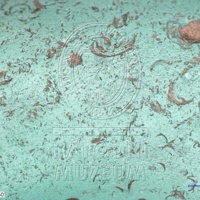 H1-80618_om (3).jpg H1-80618_om (3).jpg