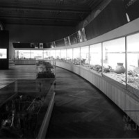 Negativ 11951 Negativ 11951