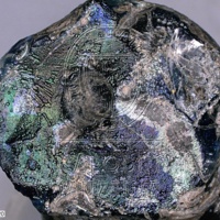 H1-80598_om (1).jpg H1-80598_om (1).jpg