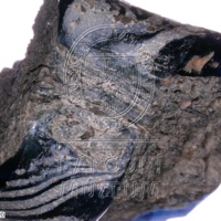 H1-80116 om (2).jpg H1-80116 om (2).jpg