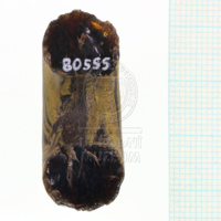 H1-80555 (4).JPG H1-80555 (4).JPG