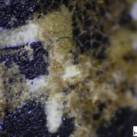 H1-80716_om (1).jpg H1-80716_om (1).jpg