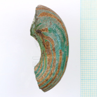 H1-80560 (2).JPG H1-80560 (2).JPG