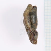 H1-64716_d_po (5).JPG H1-64716_d_po (5).JPG