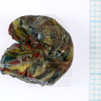 H1-65953_po  (2).JPG H1-65953_po  (2).JPG