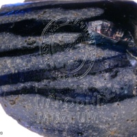 H1-80116 om (1).jpg H1-80116 om (1).jpg