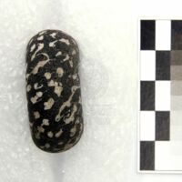 H1-121004 (3).JPG H1-121004 (3).JPG