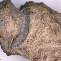 H1-80762_om (3).jpg H1-80762_om (3).jpg