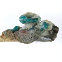 H-64682_po (8).JPG H-64682_po (8).JPG