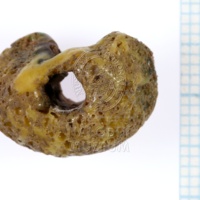 H1-64674_po (3).JPG H1-64674_po (3).JPG