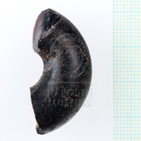 H1-80585 (2).JPG H1-80585 (2).JPG