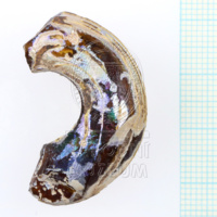 H1-80567 (2).JPG H1-80567 (2).JPG