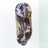 H1-80567 (4).JPG H1-80567 (4).JPG