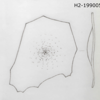 H2-199005_3_kresba1.jpg H2-199005_3_kresba1.jpg