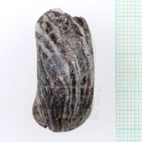 H1-80571 (3).JPG H1-80571 (3).JPG