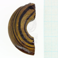 H1-80555 (2).JPG H1-80555 (2).JPG