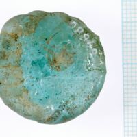 H1-64686_po (1).jpg H1-64686_po (1).jpg