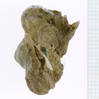 H1-64714_c_po  (3).JPG H1-64714_c_po  (3).JPG