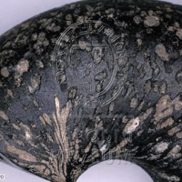 H1-80596_om (1).jpg H1-80596_om (1).jpg