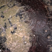 H1-80535_om (1).jpg H1-80535_om (1).jpg