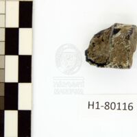 H1-80116 (2).JPG H1-80116 (2).JPG