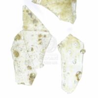 H2-198663 (1).JPG H2-198663 (1).JPG