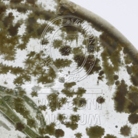 H2-105384 (3).JPG H2-105384 (3).JPG