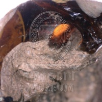 H1-80118_om (6).jpg H1-80118_om (6).jpg