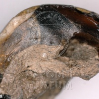 H1-80118_om (4).jpg H1-80118_om (4).jpg