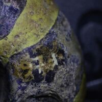 H1-80716_om (2).jpg H1-80716_om (2).jpg