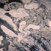 H1-80591_om (2).jpg H1-80591_om (2).jpg